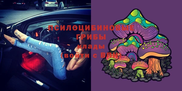 бошки Нефтекумск