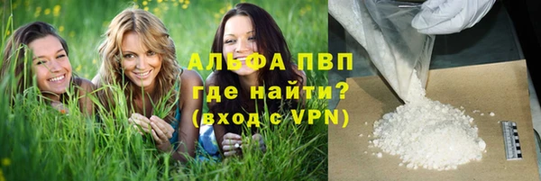 дмт Нея